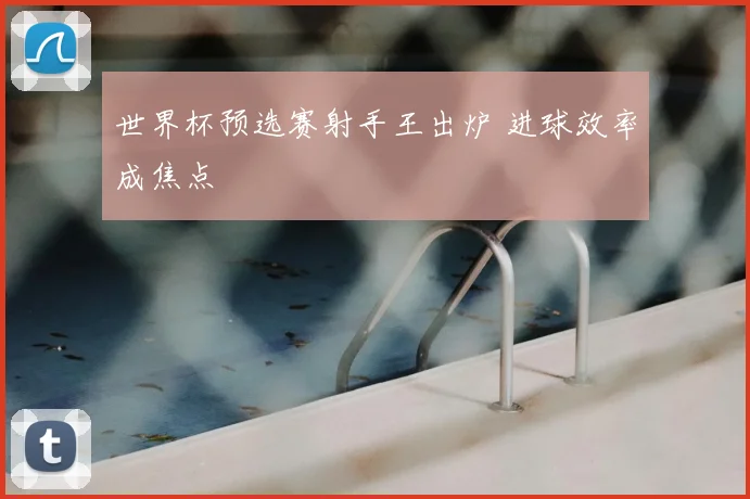 世界杯预选赛射手王出炉 进球效率成焦点