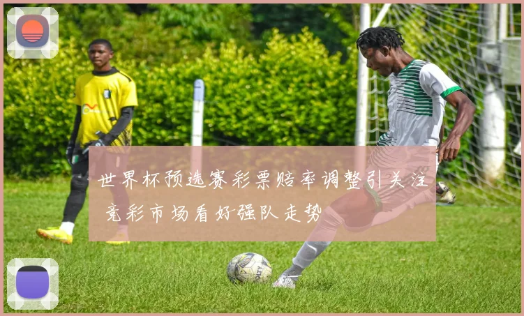 世界杯预选赛彩票赔率调整引关注 竞彩市场看好强队走势