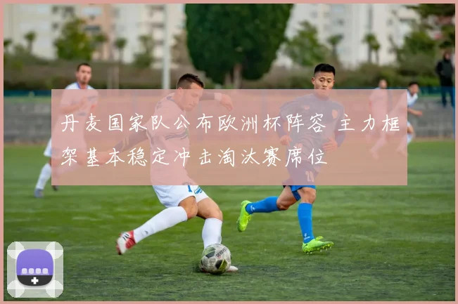 丹麦国家队公布欧洲杯阵容 主力框架基本稳定冲击淘汰赛席位