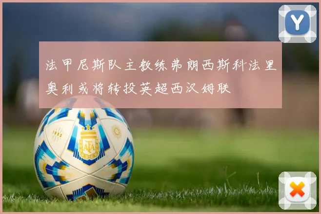 法甲尼斯队主教练弗朗西斯科法里奥利或将转投英超西汉姆联