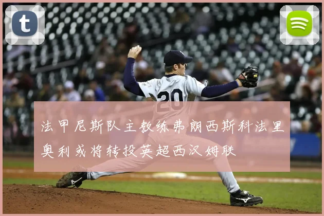 法甲尼斯队主教练弗朗西斯科法里奥利或将转投英超西汉姆联