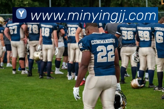 开云官方在线登陆入口平台生态图